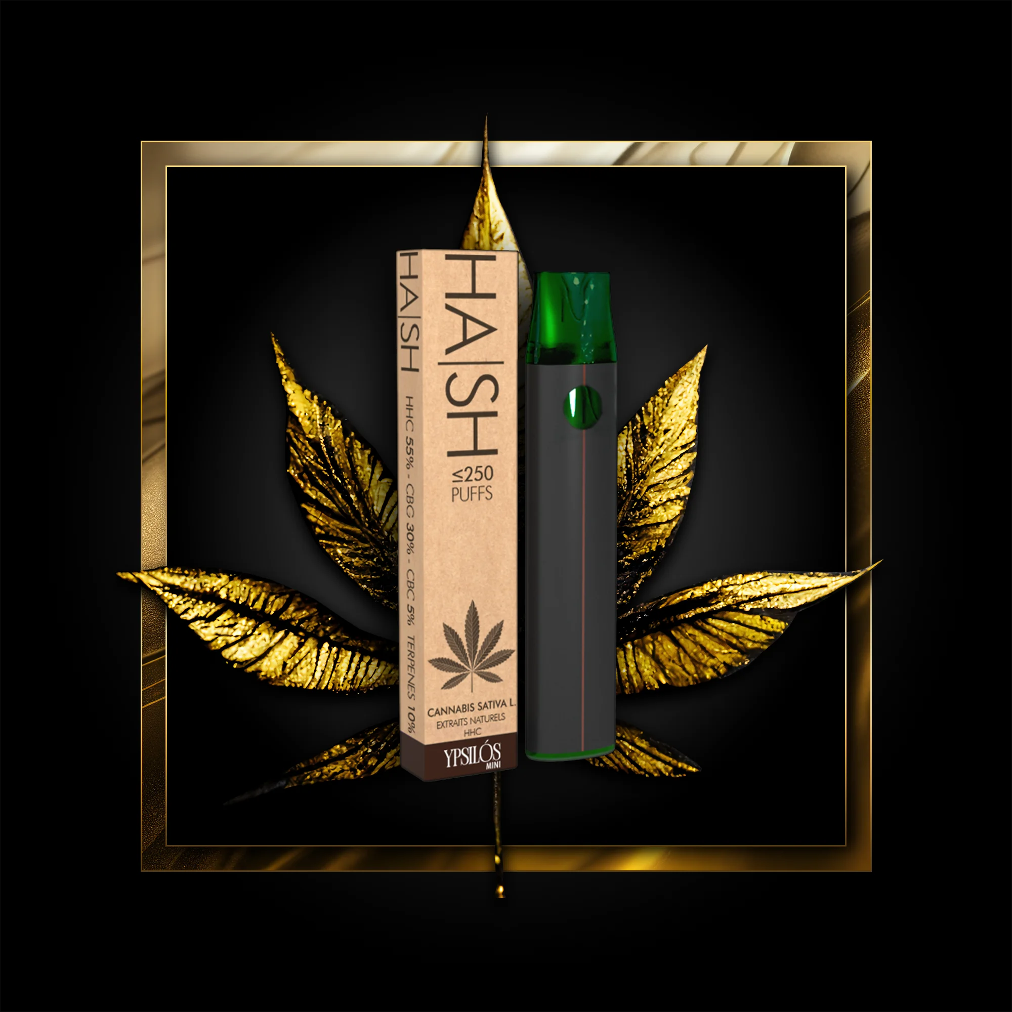 Hash (single use) 250 puffs - 0.50 ml. HHC