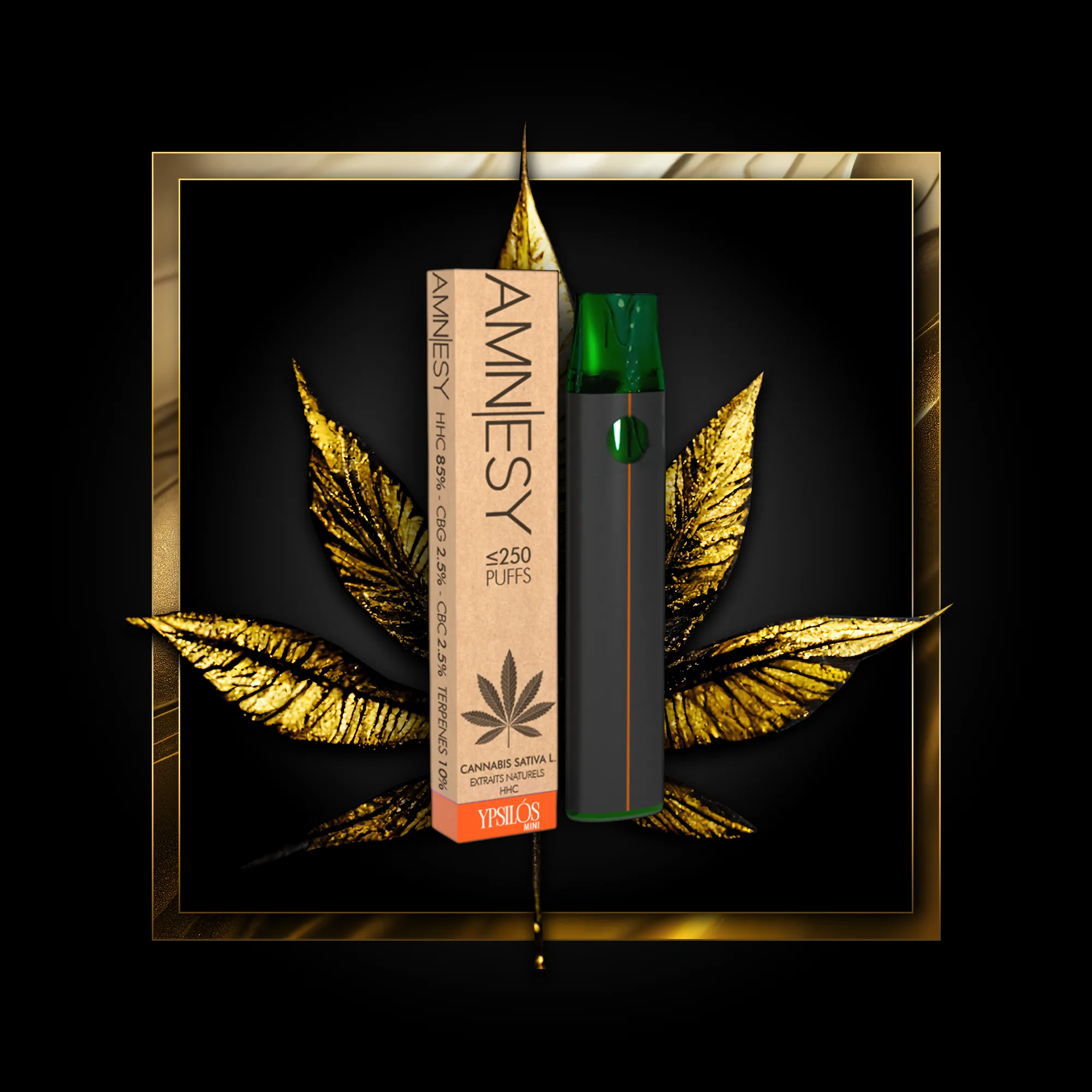 Amnesy (single use) 250 puffs - 0.50 ml. HHC
